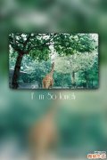 2 DIY去黑眼圈的小妙方