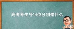 高考考生号14位分别是什么