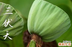 入伏2023时间表 什么时候入伏2023