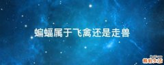 蝙蝠属于飞禽还是走兽