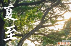 2023夏至是不是进伏 夏至过多久可以入伏
