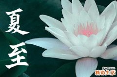 2023年夏至什么时候开始 2023年夏至的具体时间