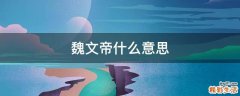 魏文帝什么意思