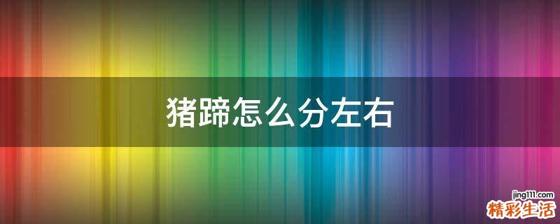 猪蹄怎么分左右