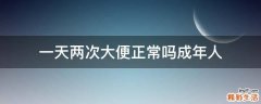 一天两次大便正常吗成年人