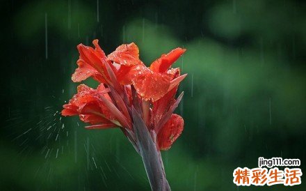 急性前列腺炎中药方剂