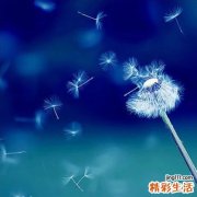 治疗性欲低下的偏方7