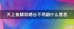 天上鱼鳞斑晒谷不用翻什么意思