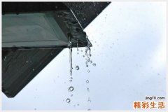 冬吃山药胜过吃补药