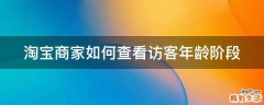 淘宝商家如何查看访客年龄阶段