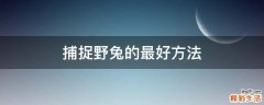 捕捉野兔的最好方法