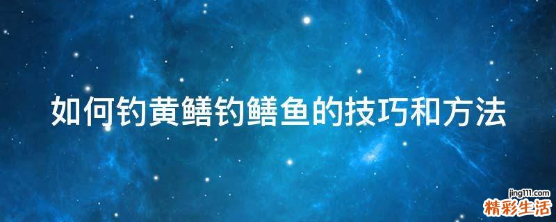 如何钓黄鳝钓鳝鱼的技巧和方法