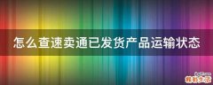 怎么查速卖通已发货产品运输状态