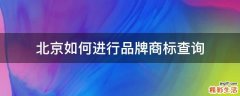 北京如何进行品牌商标查询