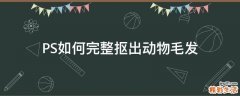 PS如何完整抠出动物毛发