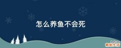 怎么养鱼不会死