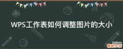 WPS工作表如何调整图片的大小