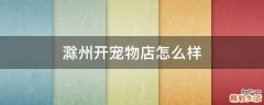 滁州开宠物店怎么样