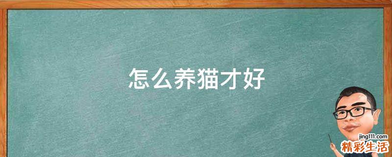 怎么养猫才好
