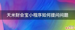 天米财会宝小程序如何提问问题