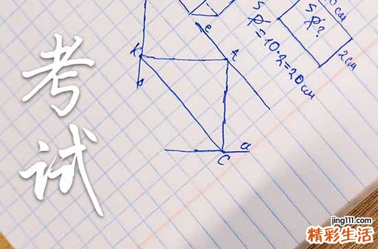2023年高考志愿填报指南大全