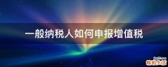 一般纳税人如何申报增值税