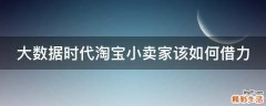 大数据时代淘宝小卖家该如何借力