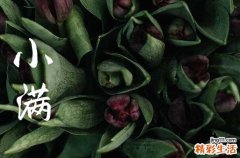 今年小满是几月几日几点几分几秒2023