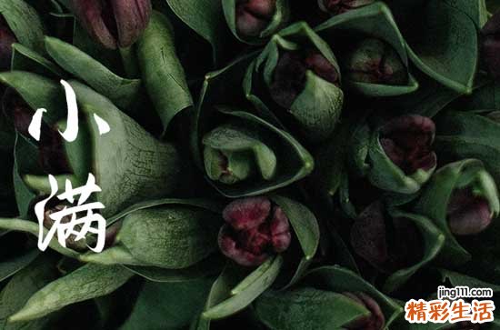 今年小满是几月几日几点几分几秒2023