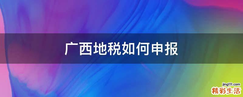 广西地税如何申报