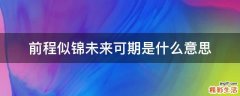 前程似锦未来可期是什么意思