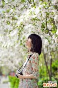 大贝