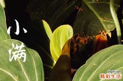 小满节气是什么意思
