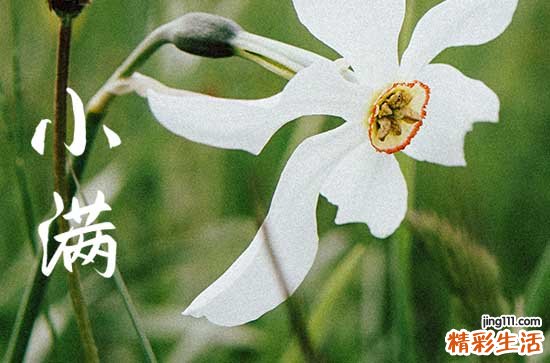 小满比喻人生什么意思啊
