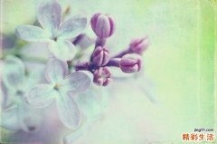 【如何对待黏人宝宝】宝宝黏人怎么办