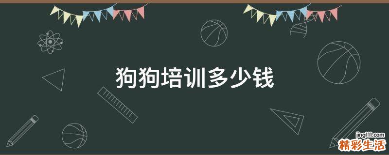 狗狗培训多少钱