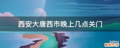 西安大唐西市晚上几点关门