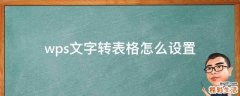 wps文字转表格怎么设置