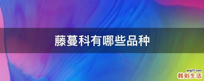 藤蔓科有哪些品种