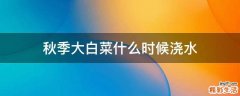 秋季大白菜什么时候浇水