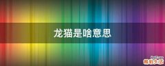 龙猫是啥意思