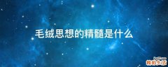 毛绒思想的精髓是什么