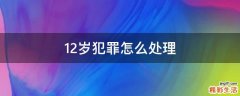 12岁犯罪怎么处理