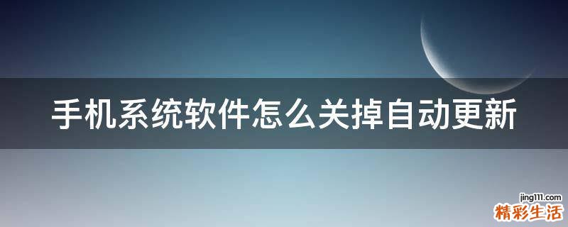 手机系统软件怎么关掉自动更新