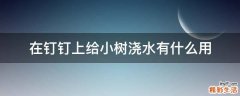 在钉钉上给小树浇水有什么用