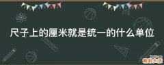 尺子上的厘米就是统一的什么单位