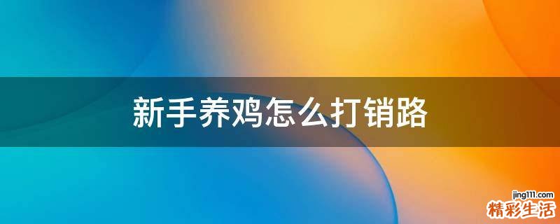 新手养鸡怎么打销路