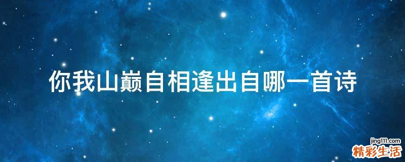 你我山巅自相逢出自哪一首诗