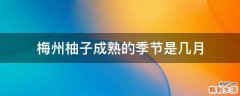 梅州柚子成熟的季节是几月