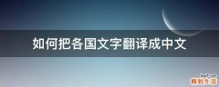 如何把各国文字翻译成中文